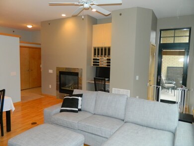 530 W Doty St unit 207, Madison, WI 53703 - photo 6
