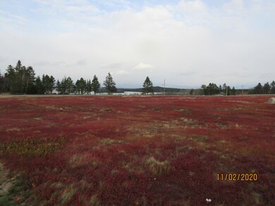 Land