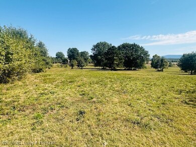 00 Latham Rd, Shady Point, OK 74956 - photo 7