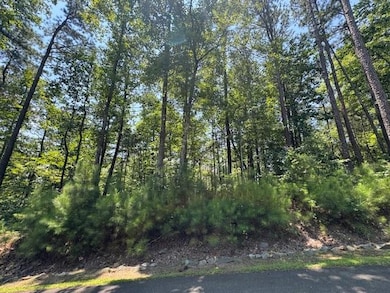 0 Carters View Dr unit 7695060, Ellijay, GA 30540 - photo 2