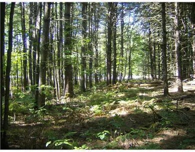 Land/Lot.