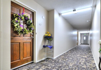 BEAUTIFUL ENTRY DOOR