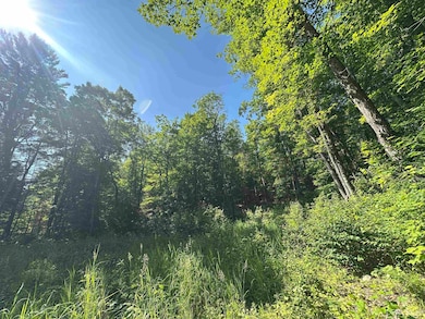 Off Indian Lake Rd, Michigamme, MI 49861 - photo 2