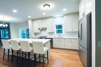 238 Berkshire Rd, Sandy Hook, CT 06482 - photo 6