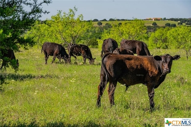 3885 Harmon Rd, Copperas Cove, TX 76522 - photo 5