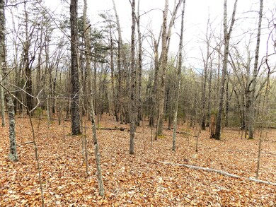 Wooded Acreage