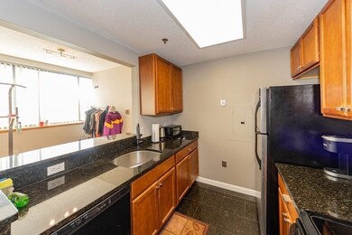 Glass Factory Condominiums unit 309, Cambridge, MA 02141 - photo 2