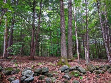 00 Cobble Hill Rd, Spofford, NH 03462 - photo 3