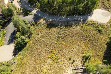 16 Aspen Ln, Crested Butte, CO 81225 - photo 2