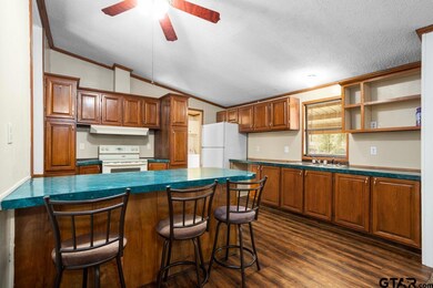 16909 Jessie Hale Rd, Tyler, TX 75707 - photo 4