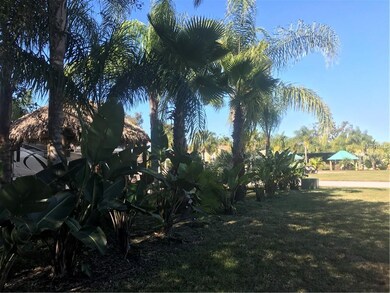 East side of lot has birds of paradise and various