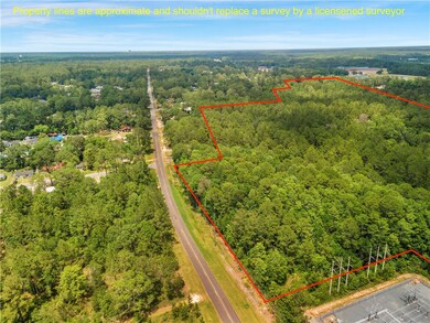 50 Ac Hwy 301, Jesup, GA 31546 - photo 6