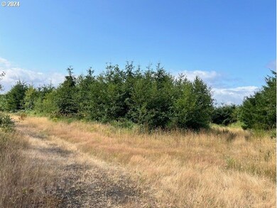 0 Lindberg Rd, Clatskanie, OR 97016 - photo 4
