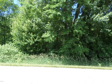 0 Calvin Hill St unit 18027304, Cassopolis, MI 49031 - photo 2