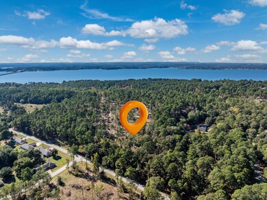 0 Pintail Lot 4, Flint, TX 75762 - photo 4