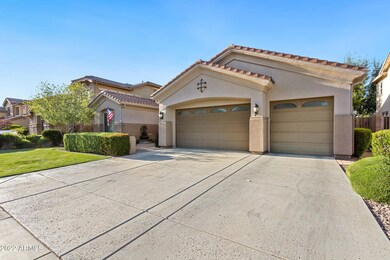 2466 E Ficus Way-3