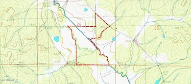 001 Alva Rd, Tomnolen, MS 39744 - photo 5