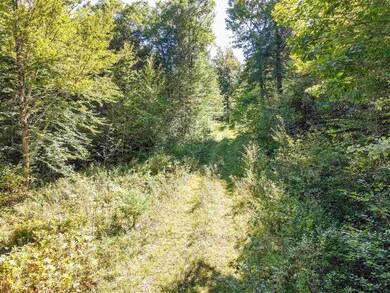 00 Chandlers Mill Rd, Newport, NH 03773 - photo 4