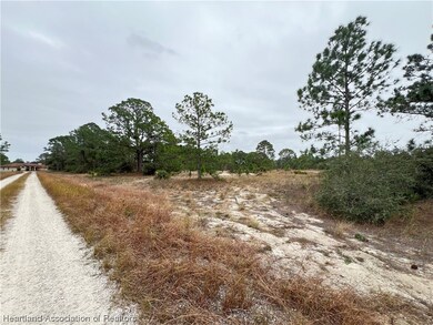 319 Vienna Ave, Lake Placid, FL 33852 - photo 3
