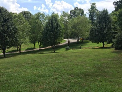 8600 Ball Park Ln, Knoxville, TN 37920 - photo 5