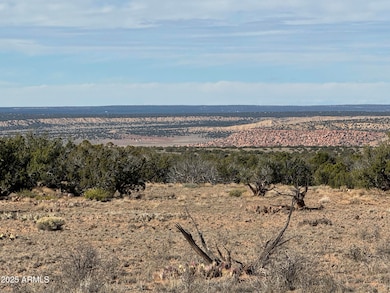 Lot 62 Sierra Highlands Ranch -- unit 62, Saint Johns, AZ 85936 - photo 7