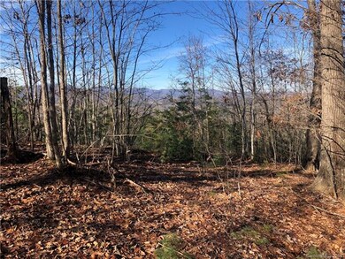 95 Balsamwood Rd unit 31, Leicester, NC 28748 - photo 3