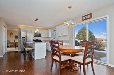 5084 Switch Grass Ln, Naperville, IL 60564 - photo 5