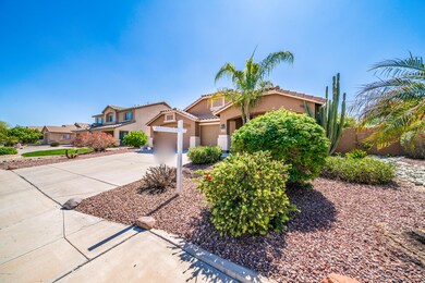 Desert Landscape Front- Easy Maintenance