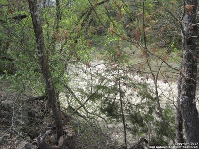 8219 San Fidel Way, Cross Mountain, TX 78255 - photo 7