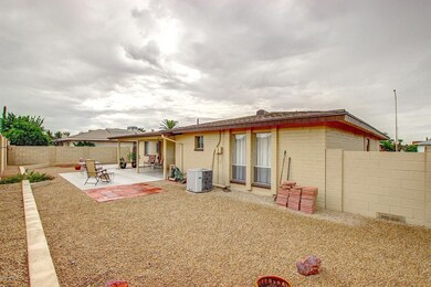 backyard3