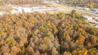 0South of County Road 468, Poplar Bluff, MO 63901 - photo 7