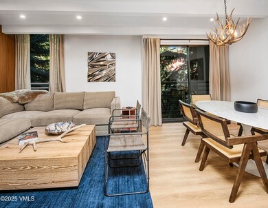300 E Lionshead Cir unit 211, Vail, CO 81657 - photo 6