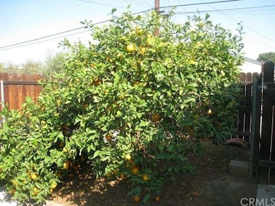 Lemon tree