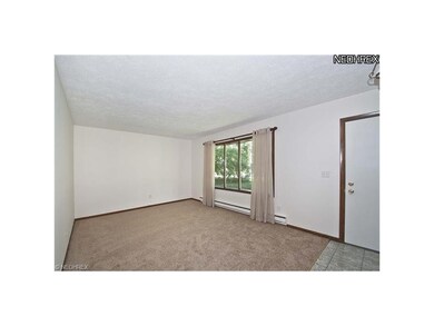 874 Alameda Ave, Sheffield Lake, OH 44054 - photo 4