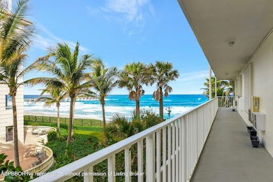 PALMBEACHER #328