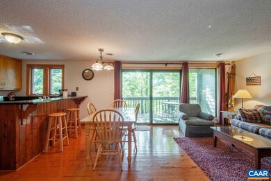 429 3 Ridges, Wintergreen Resort, VA 22967 - photo 3