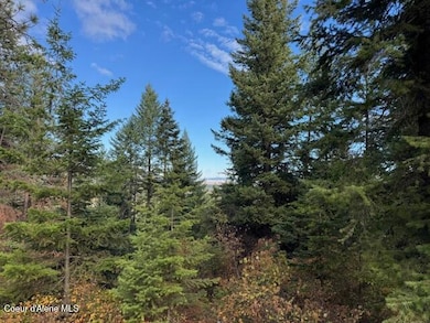 NKA Rd, Tensed, ID 83870 - photo 7