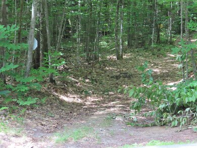 8-1-B Butterfield Hill Rd, Westmoreland, NH 03467 - photo 4