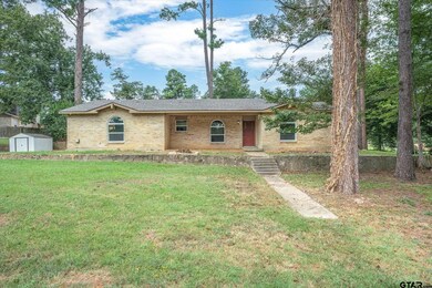 10303 County Road 2253, Tyler, TX 75707 - photo 5