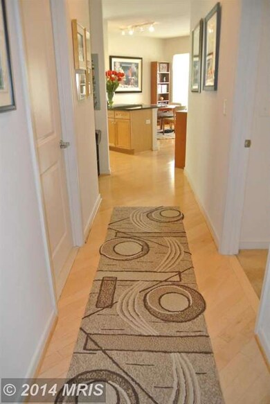 8045 Newell St unit 207, Silver Spring, MD 20910 - photo 3