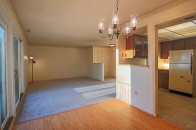 Bright, spacious living/dining room