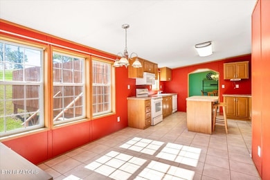 114 Myrtle Vinsant Ln, Jacksboro, TN 37757 - photo 6