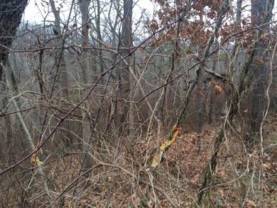 Lot 10 Billingsley Dr, Bella Vista, AR 72715 - photo 7