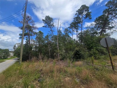 3008 Clearwood St, Inverness, FL 34452 - photo 5