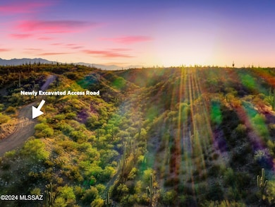 Newly Excavated Access Road