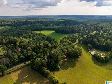 0 County Road 32 unit 21428567, Double Springs, AL 35553 - photo 3