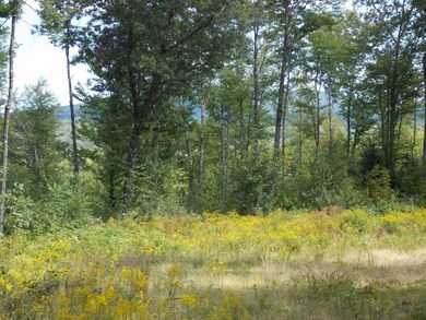 2 Allard Hill Rd, Conway, NH 03818 - photo 3