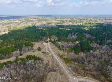 0 Paschal Hill Rd unit 4041913, Brandon, MS 39042 - photo 2