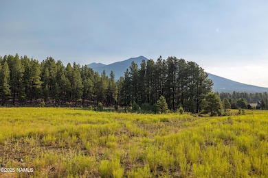 9199 Ranch at the Peaks Way, Flagstaff, AZ 86001 - photo 2
