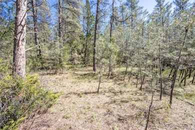 000 Smith Rd, Roundup, MT 59072 - photo 4